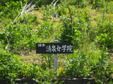 P5312315