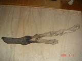 fdebec29.JPG