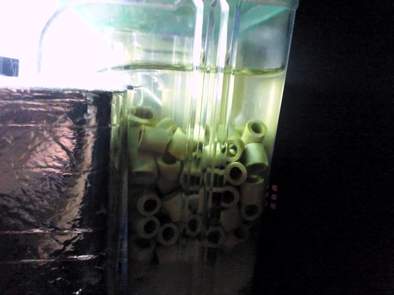 レイアウト変更 第２弾 補足 とトリミングと底床レポ ａｌｌ ｂｌｕｅ コリドラスとアピストと水草