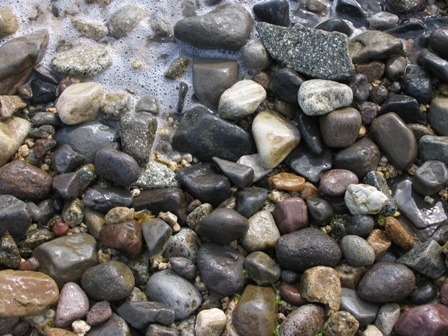 小豆島拾った石