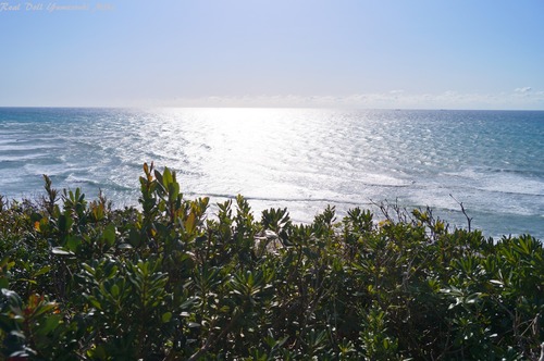 dsc07120