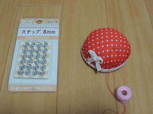 DSCN5314