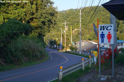 DSC08211