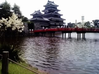 img20091127.jpg