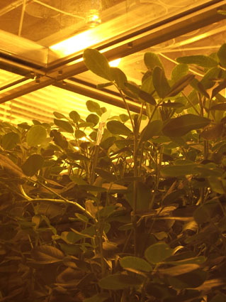 img20090908.jpg