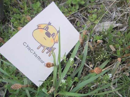 ちゃちゃまるﾊｶﾞｷ00