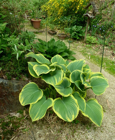 P1040347