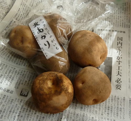 P1050856
