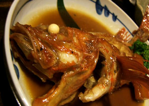 0210e.jpg