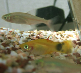 08_07_14f.jpg