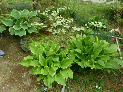 P1040342