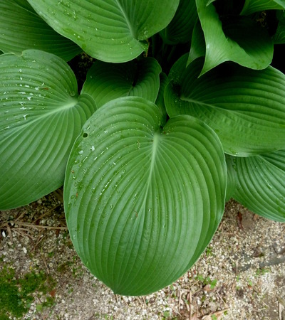 P1040348