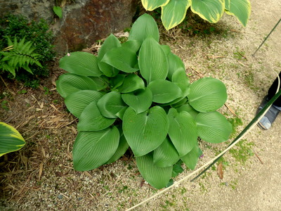P1040346