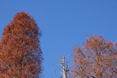 DSC01102