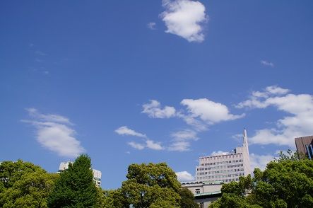 DSC05624