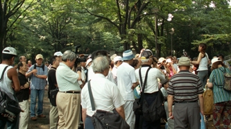 img20060715_8.jpg