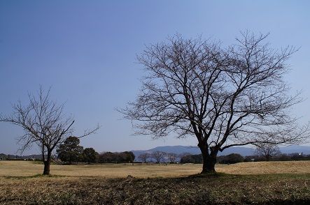 DSC06319○