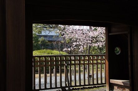 DSC06380○