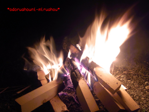 BlogPaint