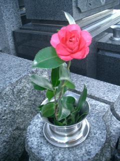 img20080102_3.jpg