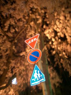 img20080401.jpg