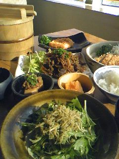 img20081129_1.jpg