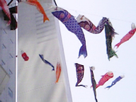 koinobori.jpg