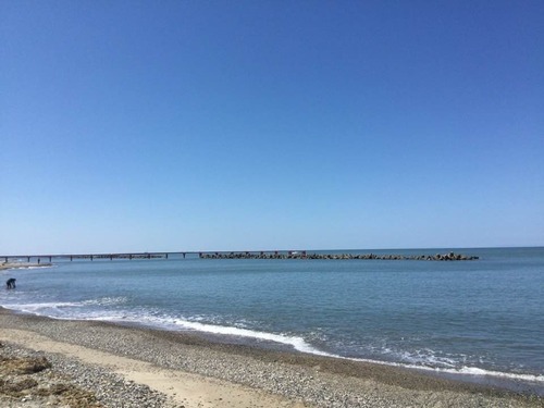 300347687_5264279810366010_2551448154731640994_n