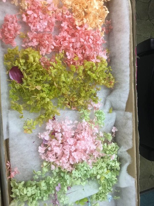 76917599_2386274558166564_6462540730836451328_n