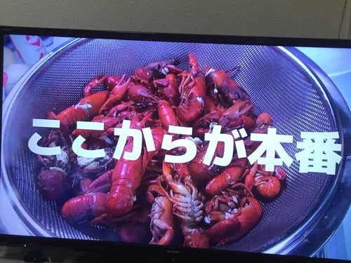 118402363_3086482018145811_6149962874385957388_n