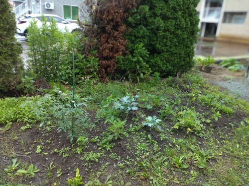 354043591_6151470261646956_749587514174380705_n