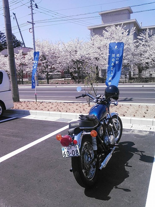 18156844_1134475366679829_7480402919330446123_n