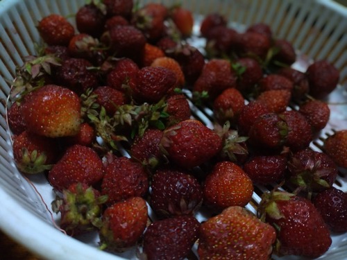 352238207_6151469374980378_2250974760985262445_n