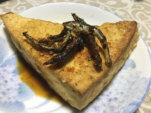 70819298_2265503813576973_8237247017412198400_n