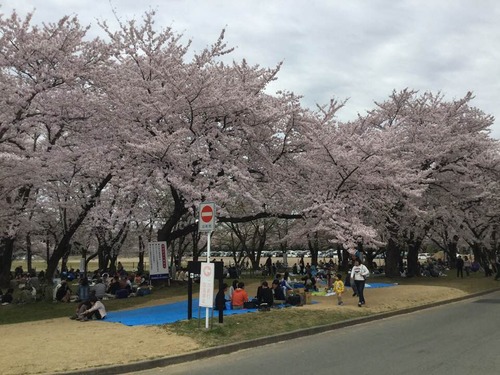 57504750_1985092878284736_7986626651964309504_n