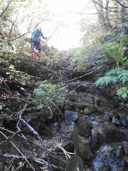 18740508_1167680820025950_2070281157307236969_n