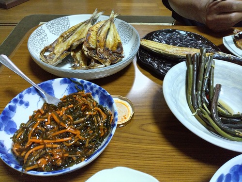 441927677_7458435954283707_7199408836989499994_n