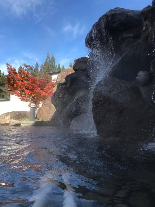 125380254_378982873533908_7425296141715415023_n