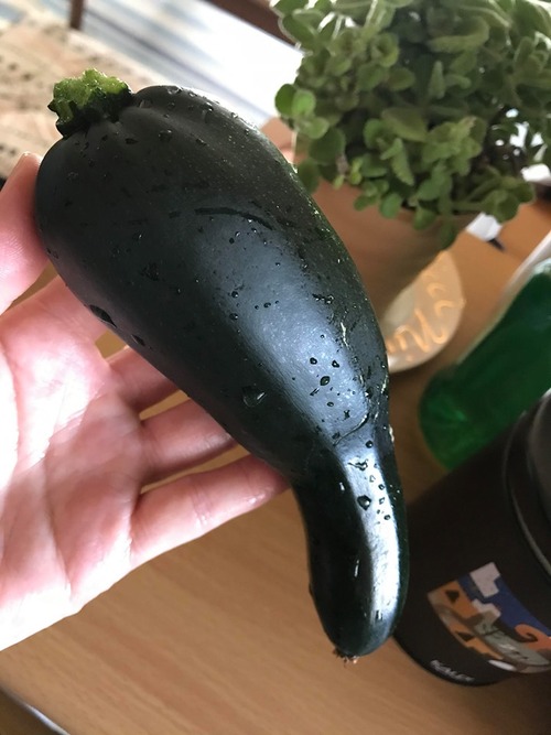 104765297_561109804765633_4234000394879203989_n