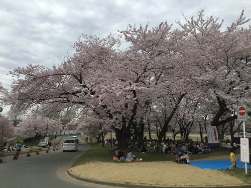 57750734_1985092884951402_157180323971465216_n