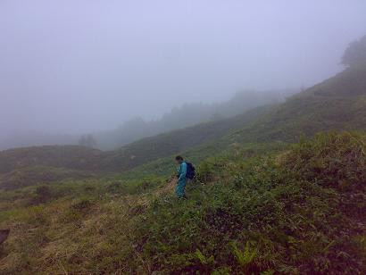20080517444.jpg