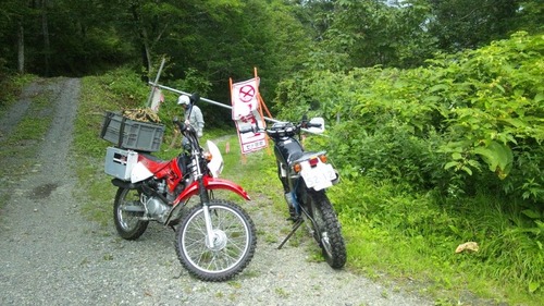 10638141_543111089149596_1997061967_n