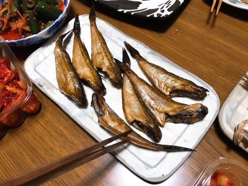 87884261_204070087471624_6762708852623278080_n