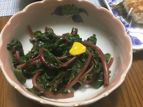 104926743_2943774525850154_7943535379669816013_n