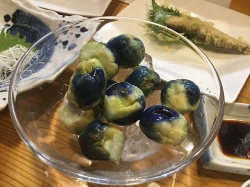 103176323_2862483870545628_4090015222371573360_n