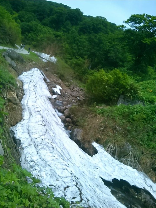 13450850_874885949305440_1671345497849264948_n