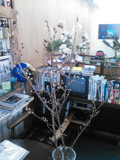 10937545_621630401297664_1088291917_n