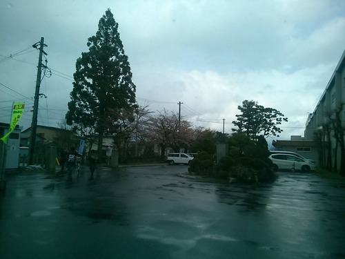 12986926_836389126488456_5811029039012877806_n