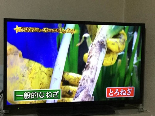 87449503_2598558023604882_5352084207835283456_n