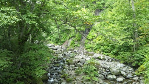 10638131_543110725816299_1822627066_n